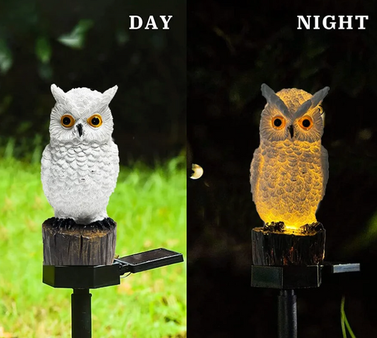 Diabeter Garden Owl